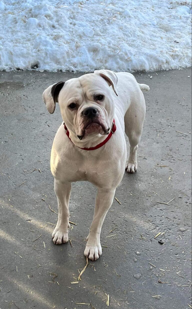 Ruby