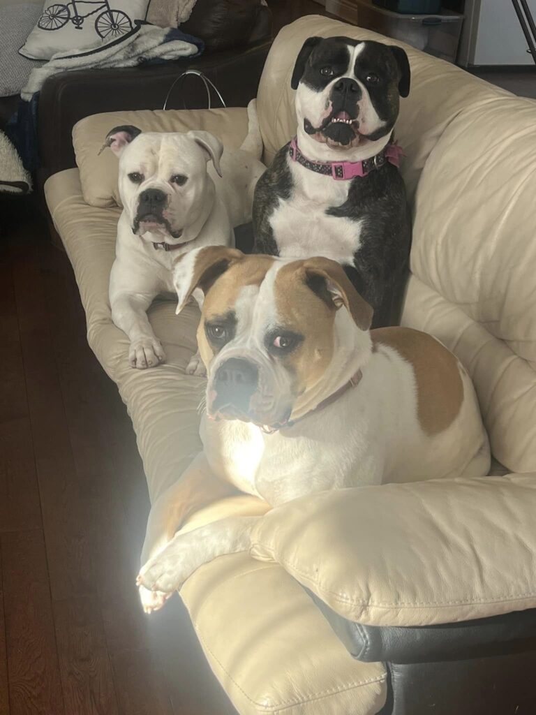 The Girls