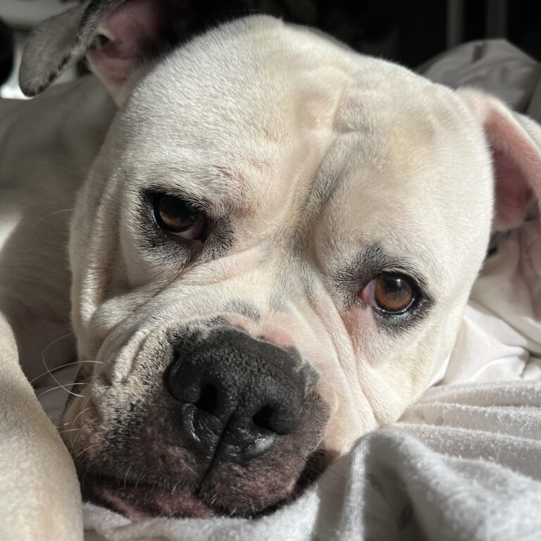 Ruby