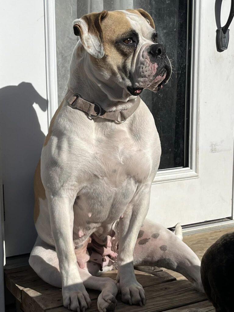 Fiona