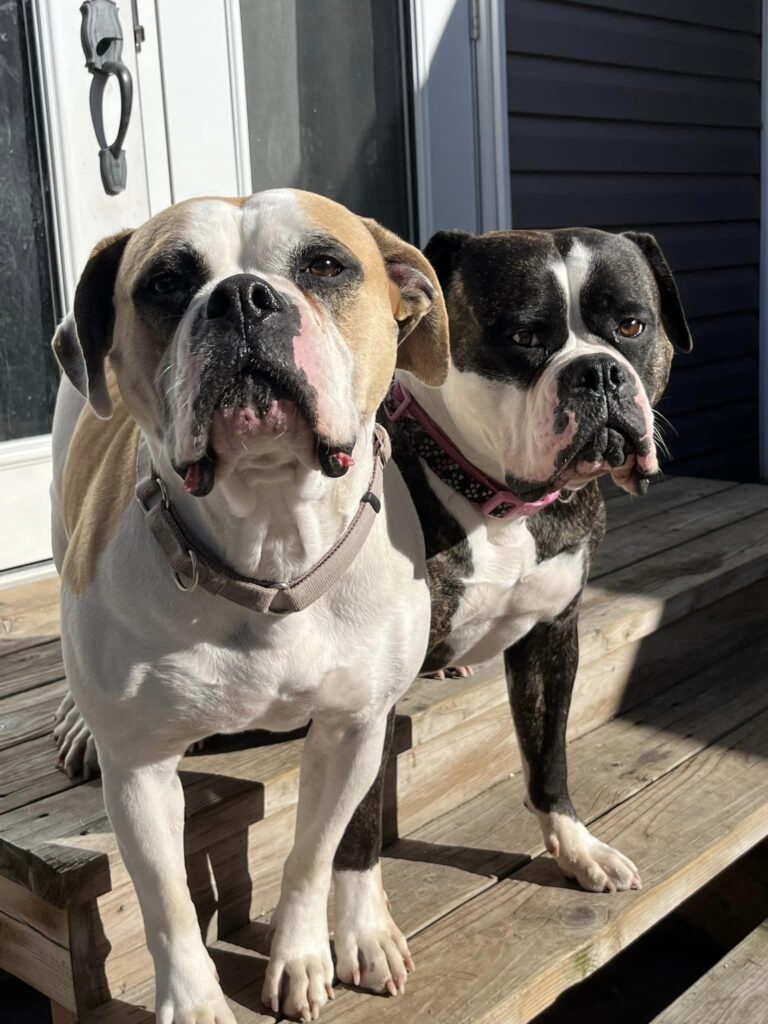 Fiona and Trixie
