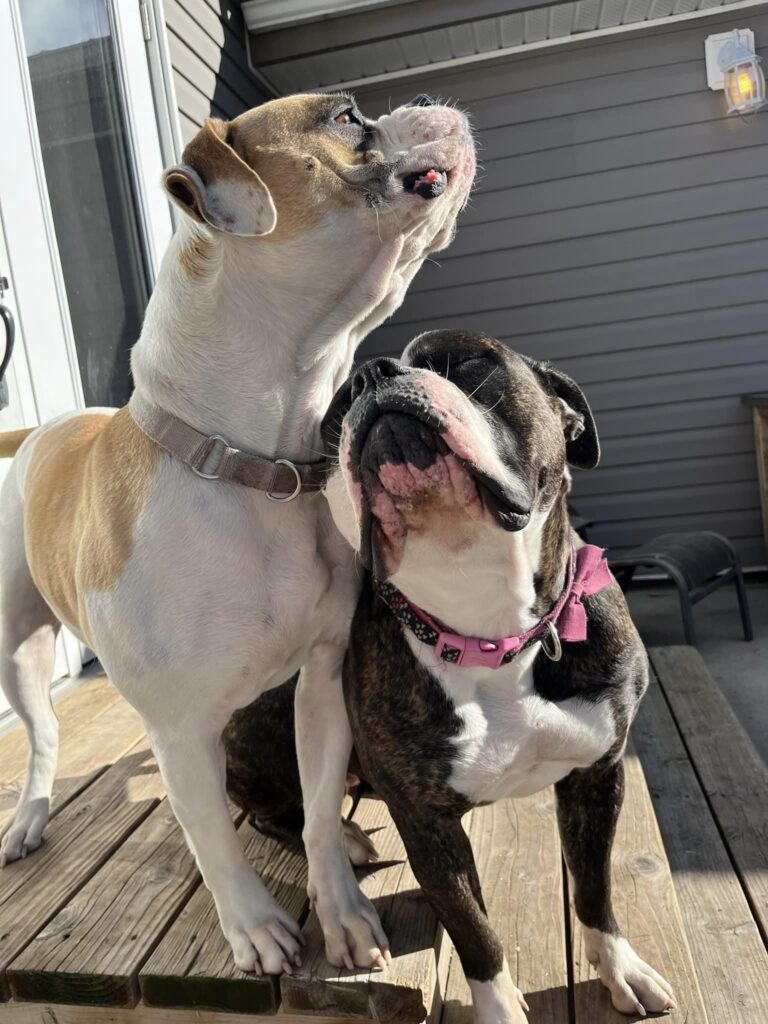 Fiona and Trixie