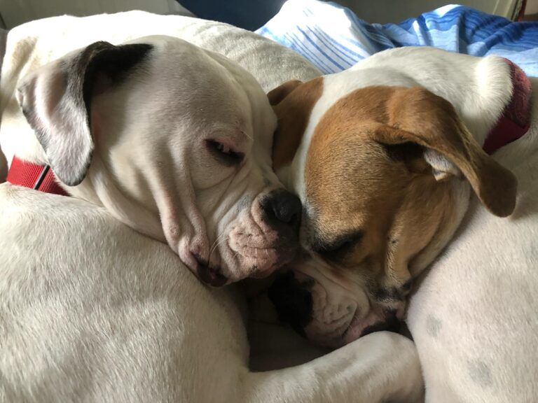 Ruby and Fiona