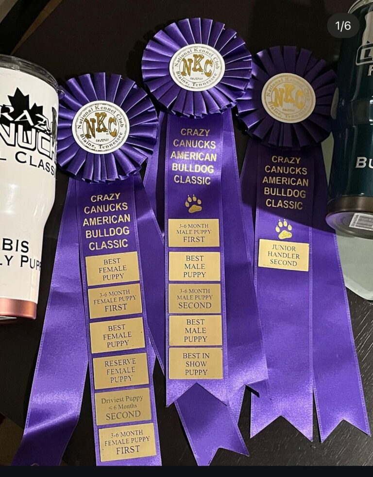 Ruby's Ribbons