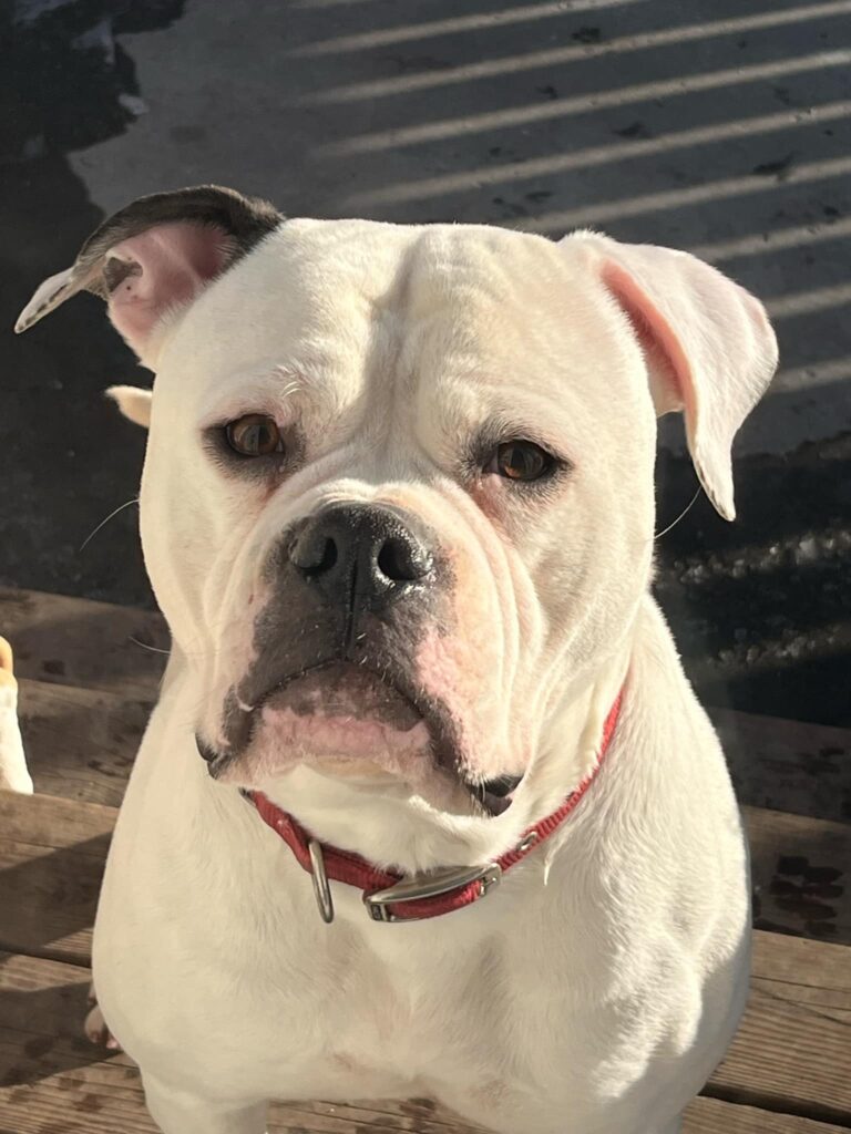 Ruby