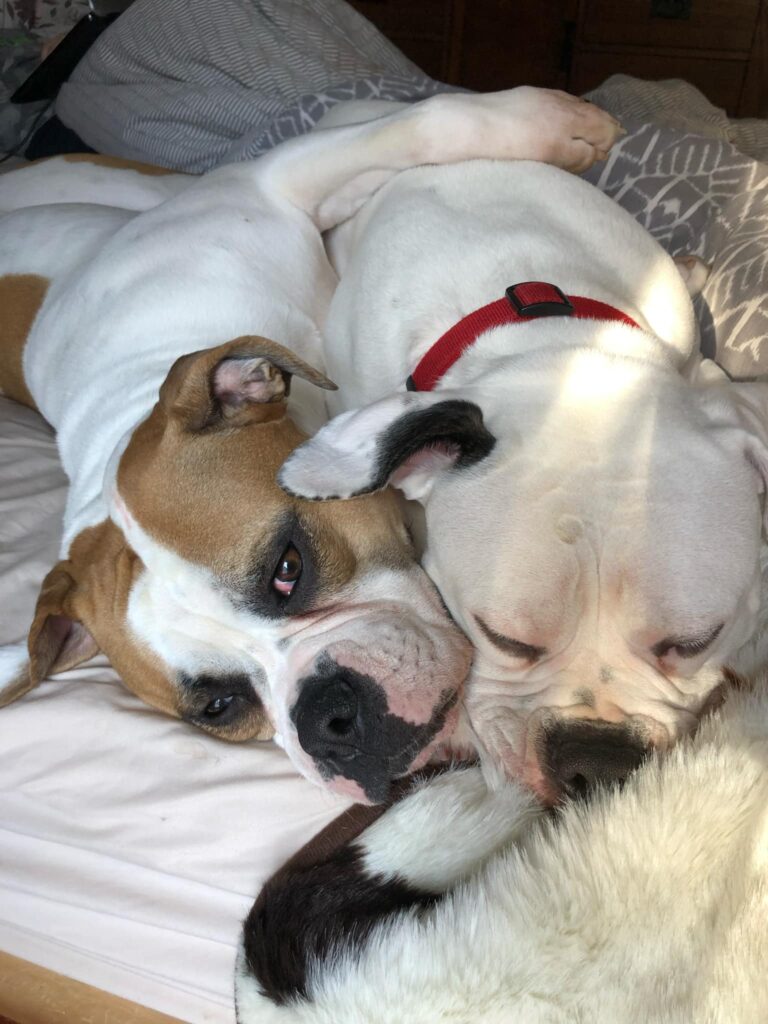 Fiona and Ruby
