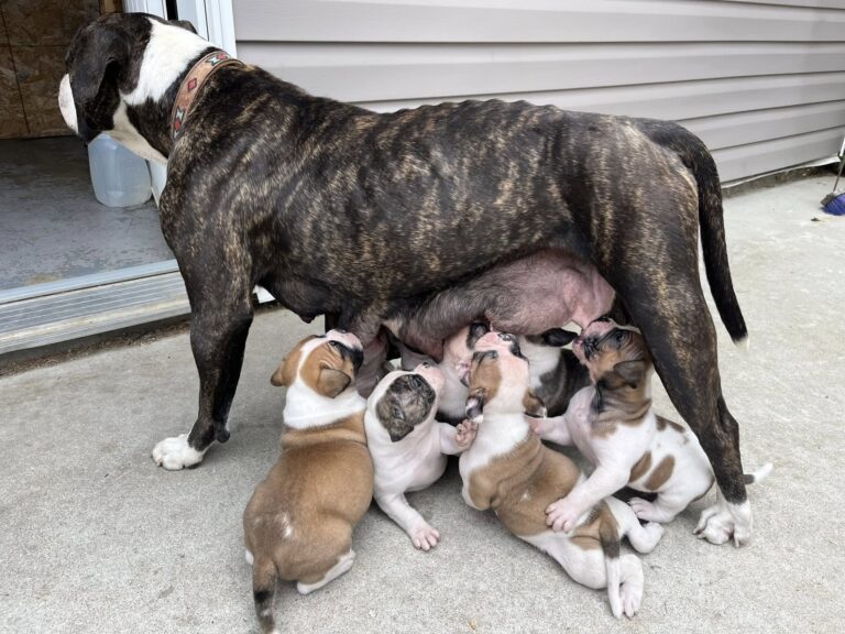 Getting Bigger