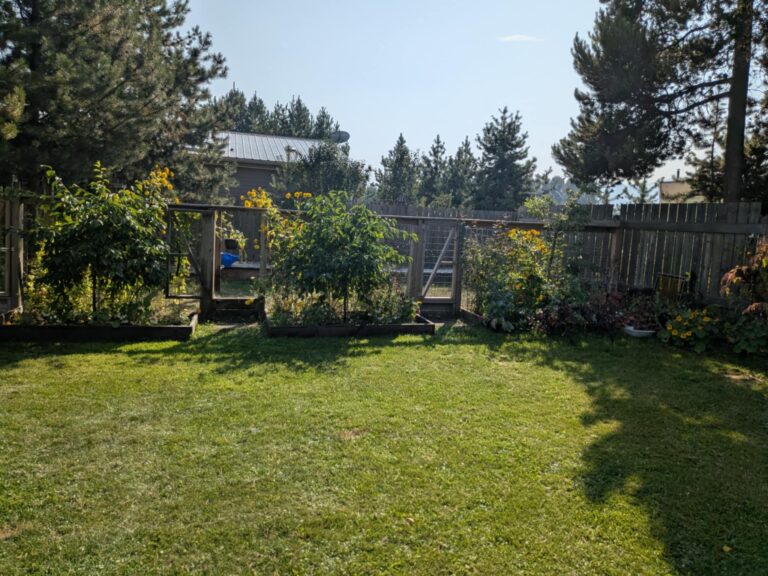 Outdoor Kennels