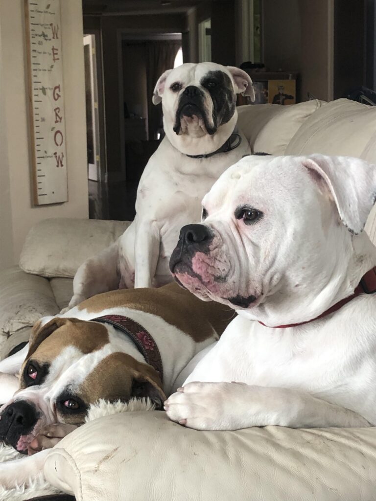 Ruby, Cattiva, and Fiona
