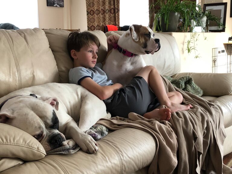 Lazy Morning
