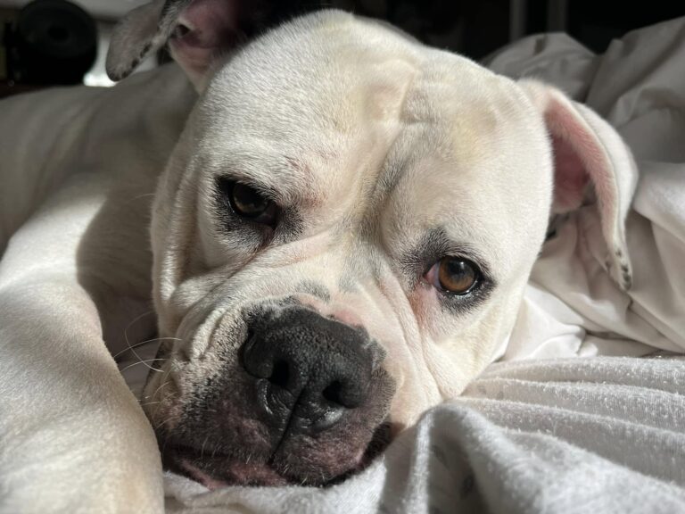 Ruby