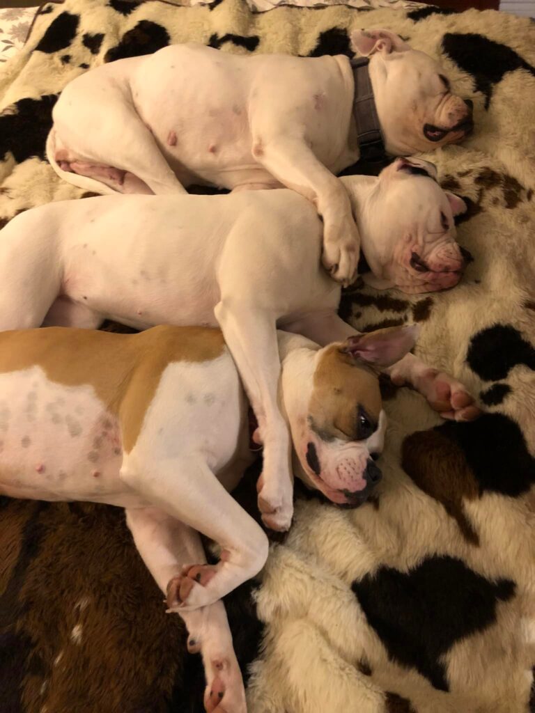 Group Hug