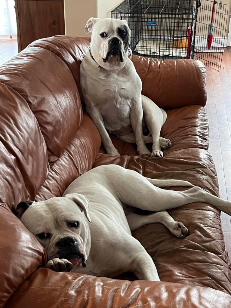Ruby and Cattiva