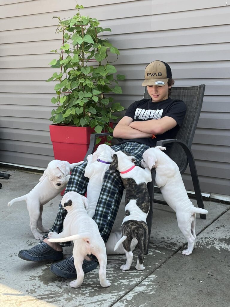 2024 Puppies